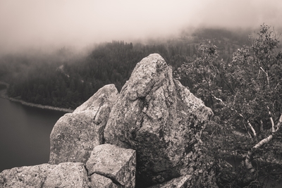 Rochers au premier plan et forêt brumeuse