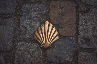 Coquille dorée fixée sur un mur de pierre