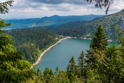 Lac entouré de forêt de conifères et de montagnes