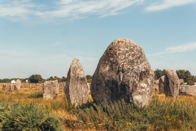 Alignement de menhirs dans un champ herbeux Carnac