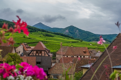 Village aux toits rouges et collines verdoyantes